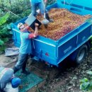 몽해농장 이미지