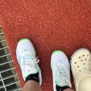 조치원체육공원(테니스장) 이미지