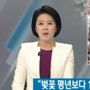 개화(아) 이미지