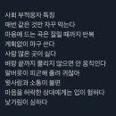 플루800도량 | 푸른 온도의 정체가 사랑이라고 한다면