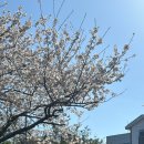 호근새마을금고 이미지