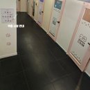페퍼코인노래연습장 이미지