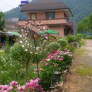 금강펜션 민박 이미지