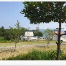 고성군야외씨름장 | 경남 고성 공룡발자국 화석산지 상족암,공룡테마파크 여름방학 아이들과 갈만한곳