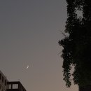 광경 | [광화문] 위스키 샘플러 입문기! 광화문 감성바 ‘광경’ 솔직 후기”