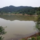 장등지 이미지