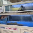 증산횟집 이미지
