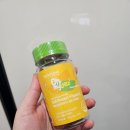 비타민랜드 | 허벌랜드 세포보호 비타민C 구미 젤리 후기 │ 상큼한 귤젤리로 맛있게 챙기는 비타민C영양제