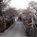 이백초등학교 이미지