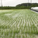 이천시농업기술센터 이미지