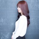 헤어스크린 이미지