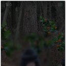 인스타PC 이미지