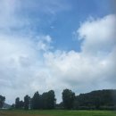 백마강생활체육공원 축구장 이미지