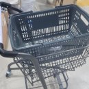 담양동물약국 | 광주 최대규모 메가스토어 약국, 10월 1일 정식 오픈!