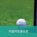 이탈리안골프존 이미지