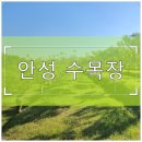 정서시스템㈜ | 안성 수목장 자연장 비용 알아보고 가족형 자리 예약하는 방법