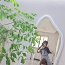 루 미용실 네이버블로그