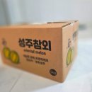 성주참외 후기 아이들도 잘 먹은 13브릭스 꿀참외