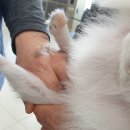 태백동물병원 이미지