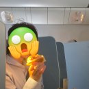 플랫하우스(FLAT HOUSE) | [신혼여행] 암스테르담-인천 KLM 비즈니스 솔직후기: 시설은 아쉬워도 기념품은 1등!