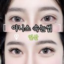 아니스 속눈썹