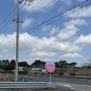 작은창큰풍경협동조합 | [제주/서귀포] 제주 풍경이 작품이 되는 작은 갤러리 같은 제주 브런치 카페 노바운더리 제주