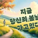 당신의봄날 네이버블로그