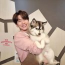 와 나 그 웹툰 엊그제 봤는데 이미지