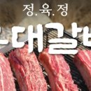 정육정