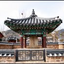 순천-77호 티스토리