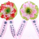 머루와다래 이미지