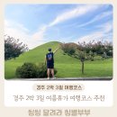 경주 파크유스타운 | 경주 2박 3일 여행코스 추천 맛집 숙소 볼거리 꿀팁 대방출