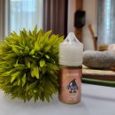 모츠(MOTS) 이미지