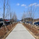 한라비발디 이팝나무 이미지