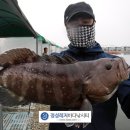 바다정성