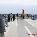 대진항 해상공원 이미지