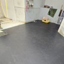 신흥애견센타 이미지