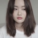 버리안 네이버블로그