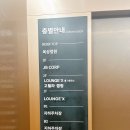 정관장LOUNGE세종대평 | 세종베이커리카페, 라운지엑스, 세종시카페, 코스트코 카페, 베이커리맛집