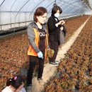 늘푸름농장 이미지