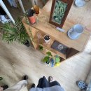 보리수카페 이미지