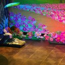 민주공원중극장 이미지