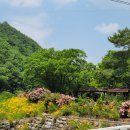 자양식당 이미지