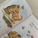 영어그림책 놀이터 | 엄마표 영어 그림책 추천｜Biscuit in the Garden 책 후기