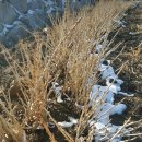 세민농장 이미지