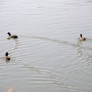 우리병원 앞 이미지