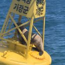 큰바다