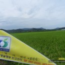 친환경 햅쌀 공동구매 마감 임박! 얼~릉 가보세^ㅡ^ 이미지