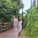 아지트 풀빌라 민박 이미지