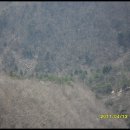 경포대주차장 이미지